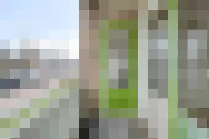 Paterswoldseweg 351 Groningen thumbnail 32
