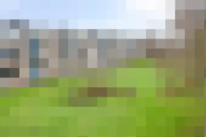 Paterswoldseweg 351 Groningen thumbnail 42