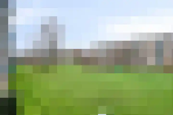 Paterswoldseweg 351 Groningen thumbnail 6