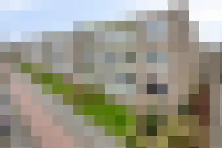 Paterswoldseweg 351 Groningen thumbnail 7