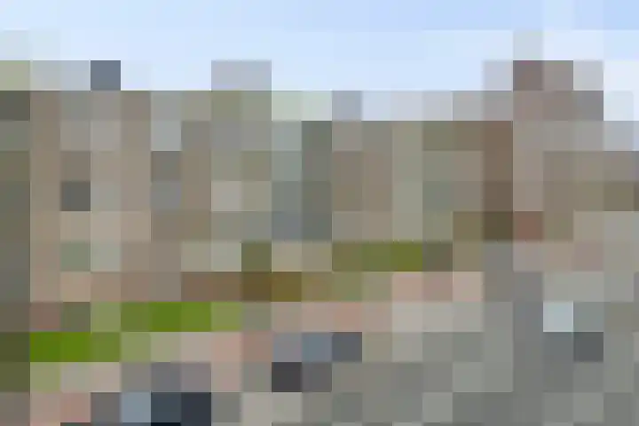 Paterswoldseweg 351 Groningen thumbnail 8