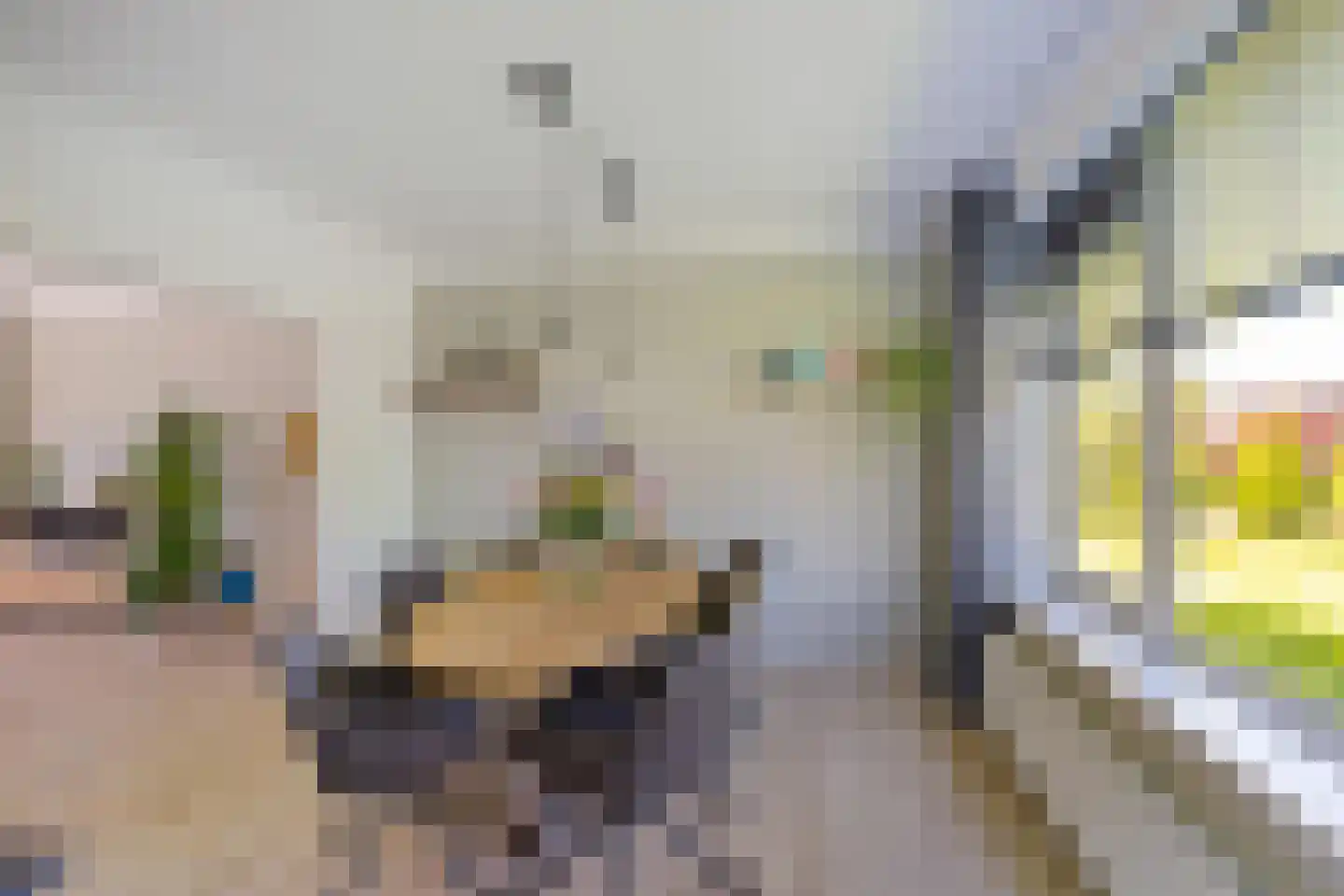 Paterswoldseweg 355 Groningen thumbnail 10