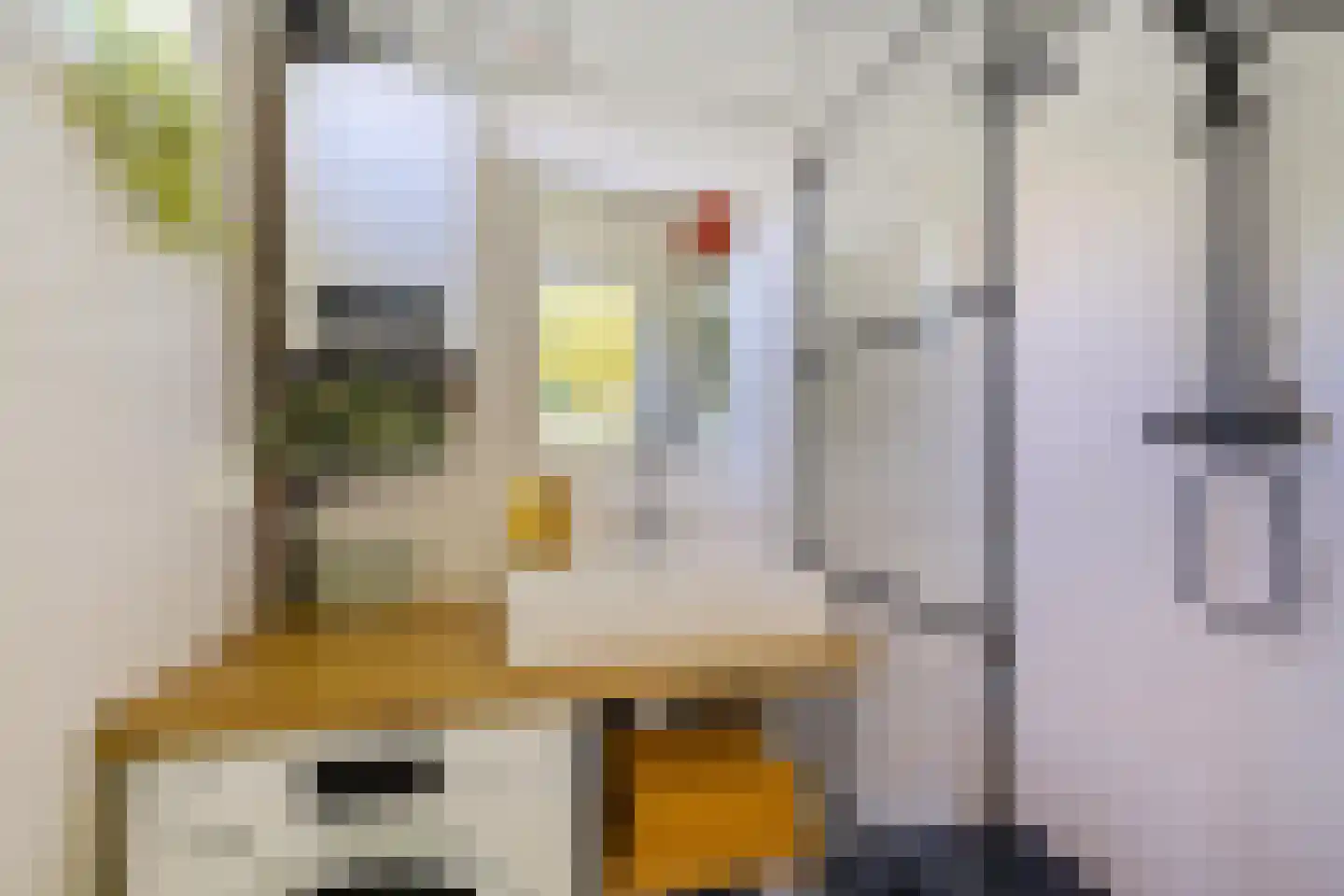 Paterswoldseweg 355 Groningen thumbnail 16