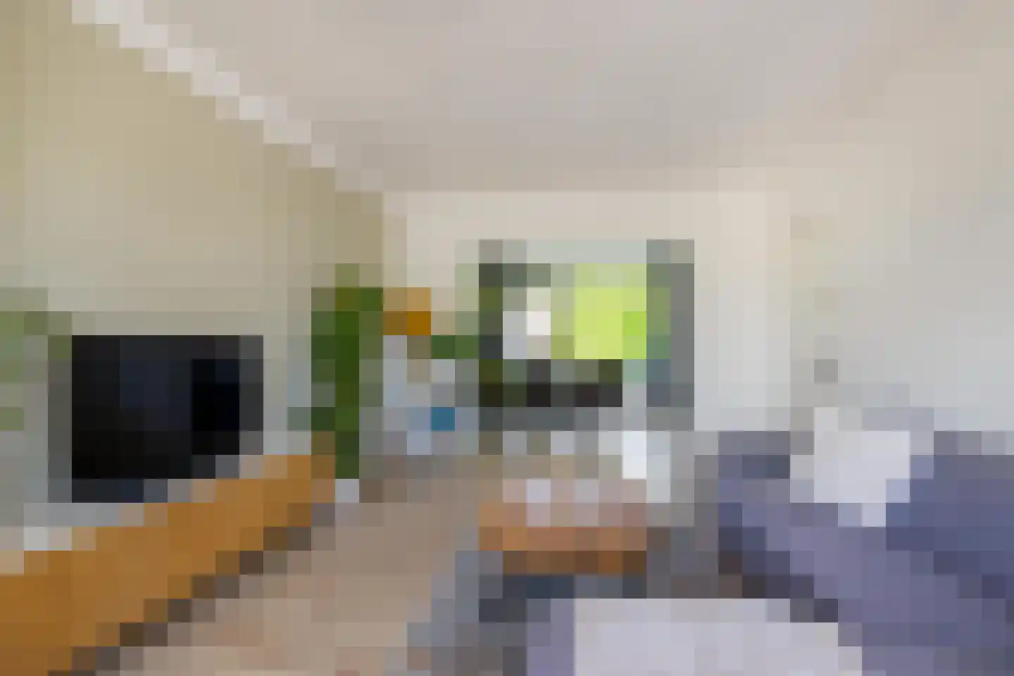 Paterswoldseweg 355 Groningen thumbnail 7