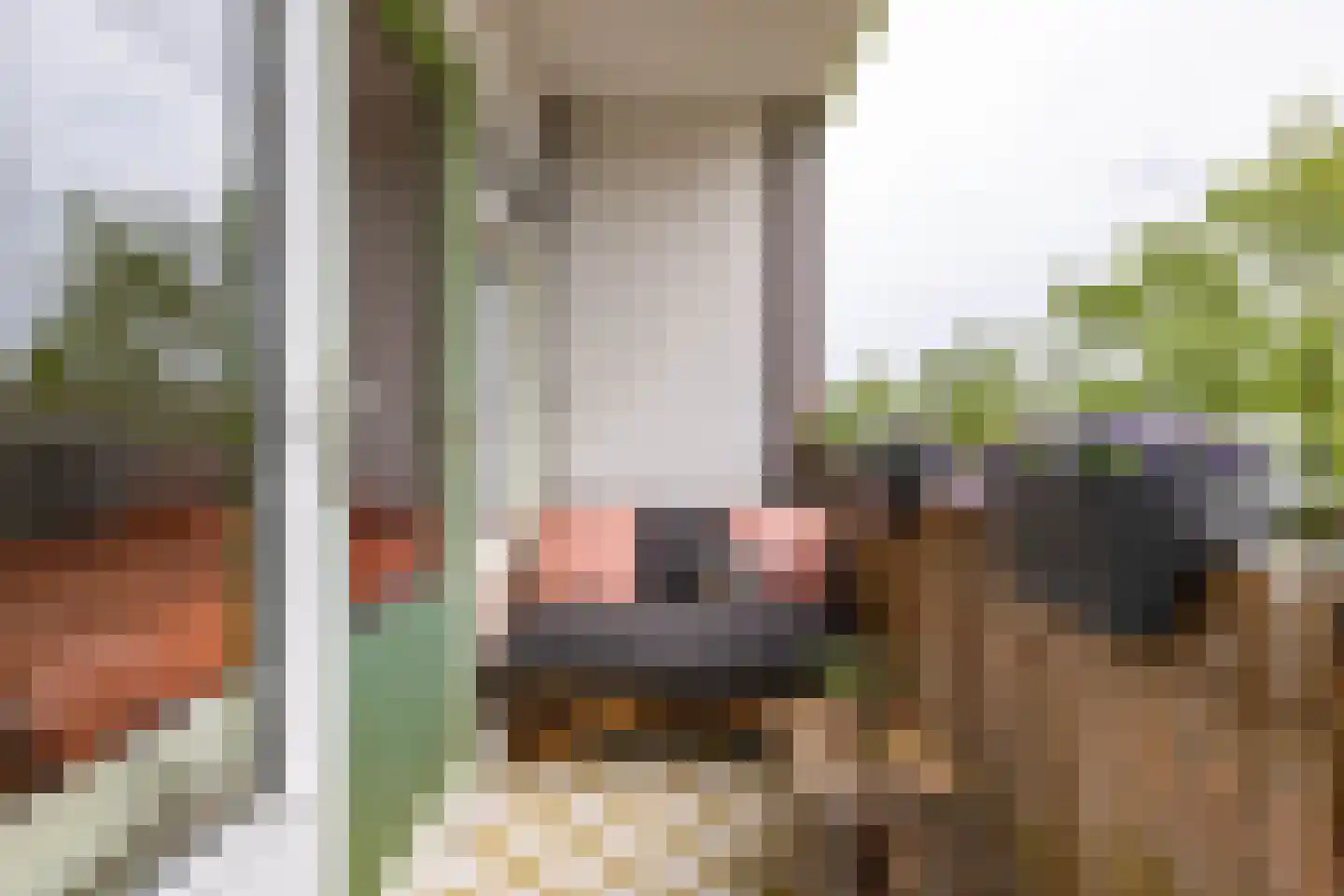 Paterswoldseweg 379 Groningen thumbnail 19