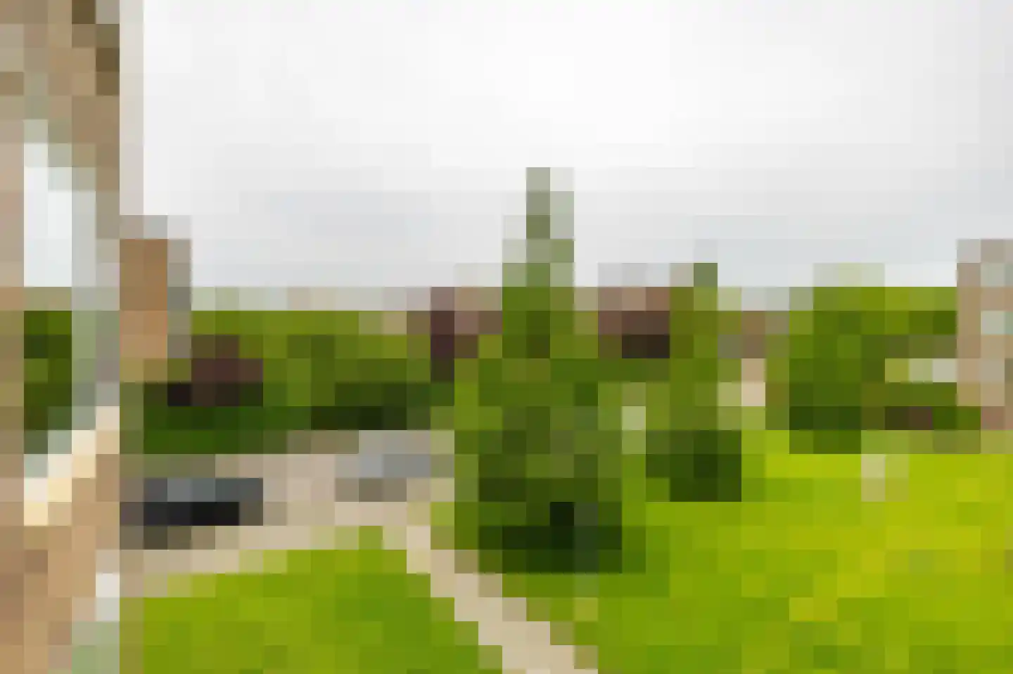 Paterswoldseweg 379 Groningen thumbnail 26