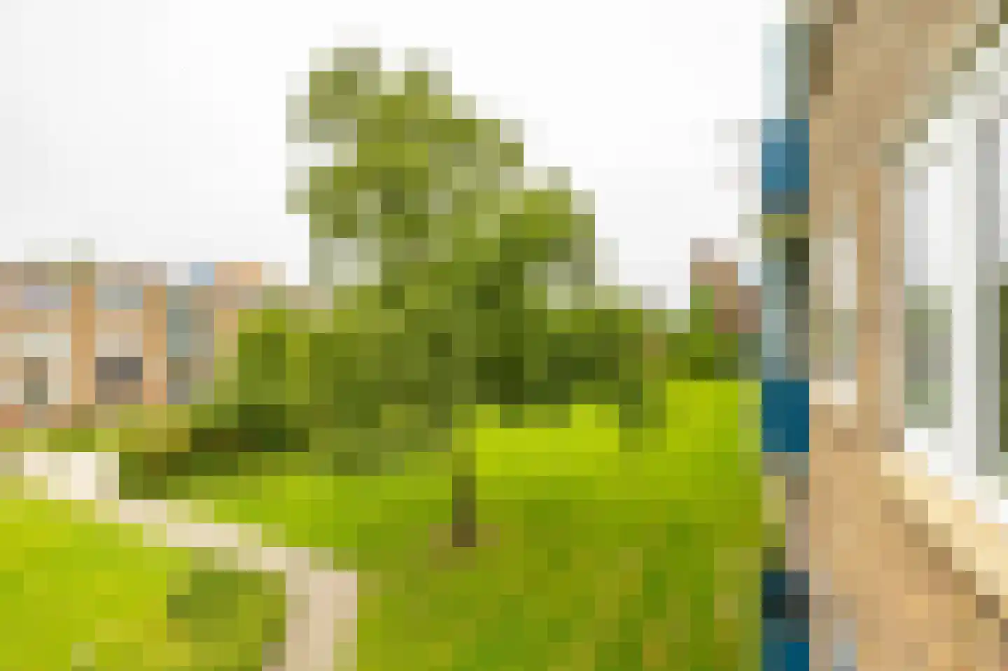 Paterswoldseweg 379 Groningen thumbnail 27
