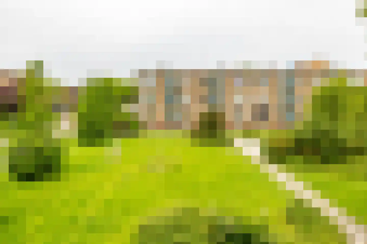 Paterswoldseweg 379 Groningen thumbnail 28