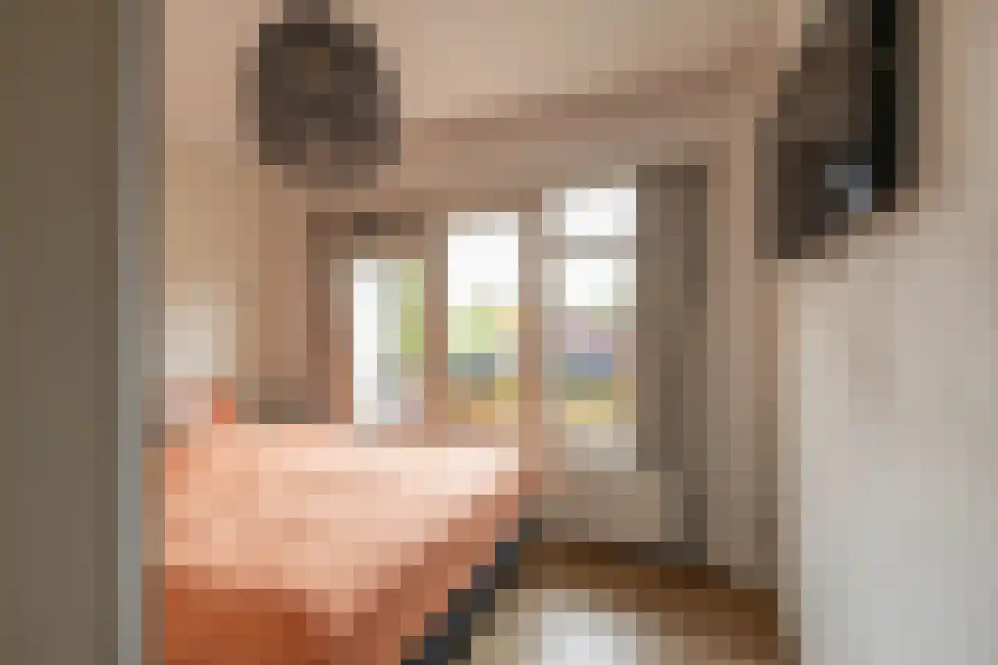 Paterswoldseweg 379 Groningen thumbnail 29