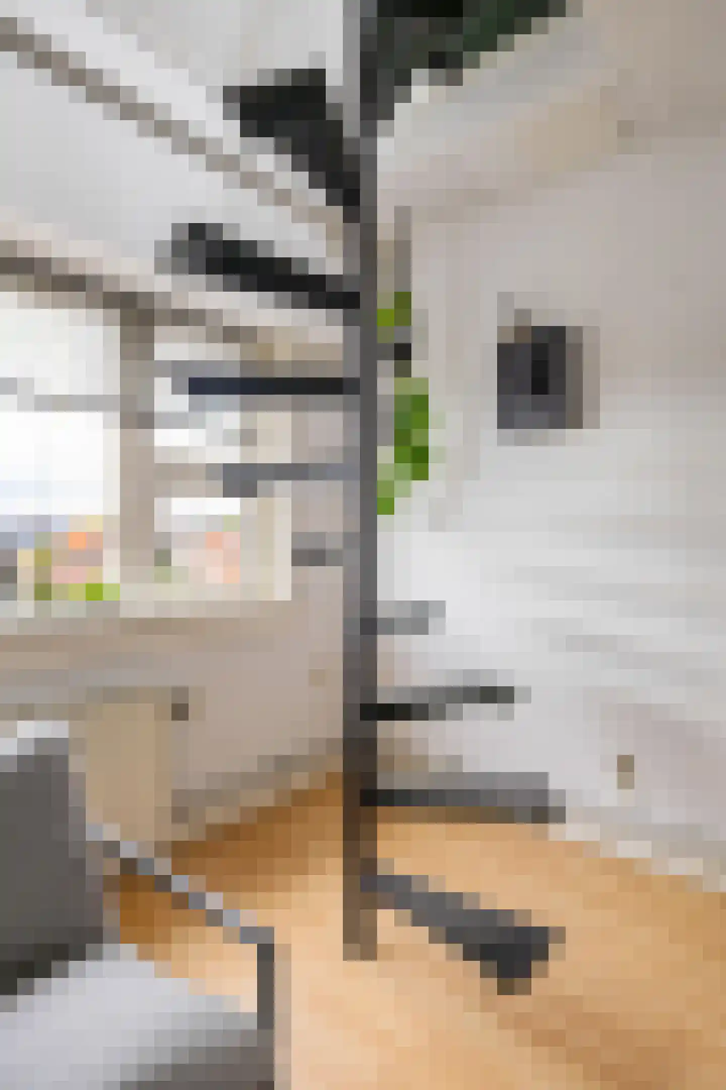 Paterswoldseweg 38 c Groningen thumbnail 31