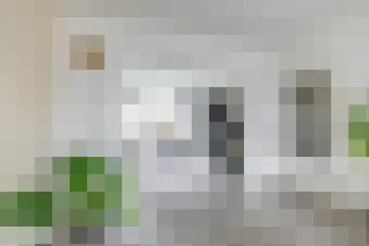 Paterswoldseweg 395 Groningen thumbnail 13