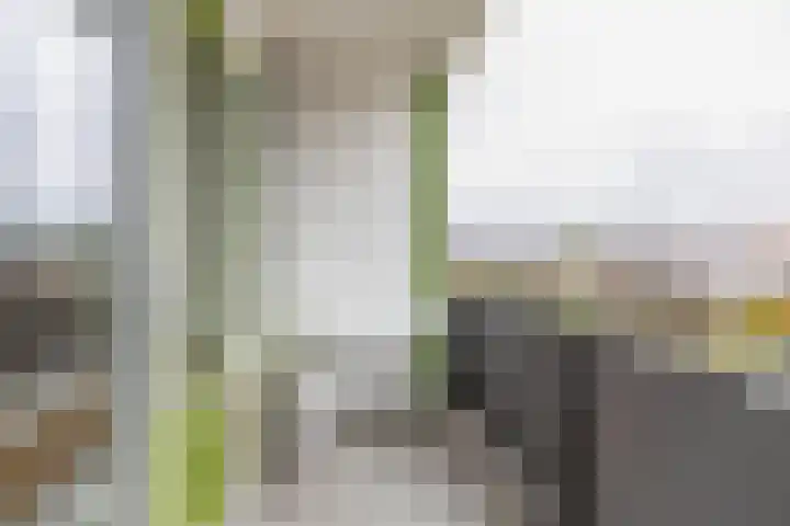 Paterswoldseweg 395 Groningen thumbnail 23