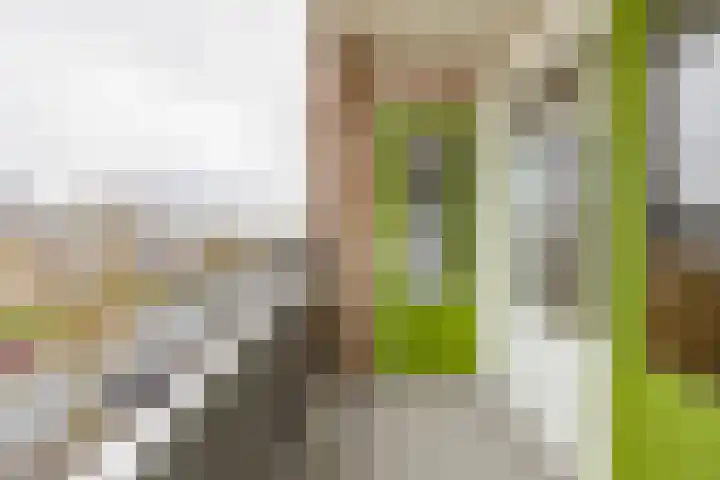Paterswoldseweg 395 Groningen thumbnail 24