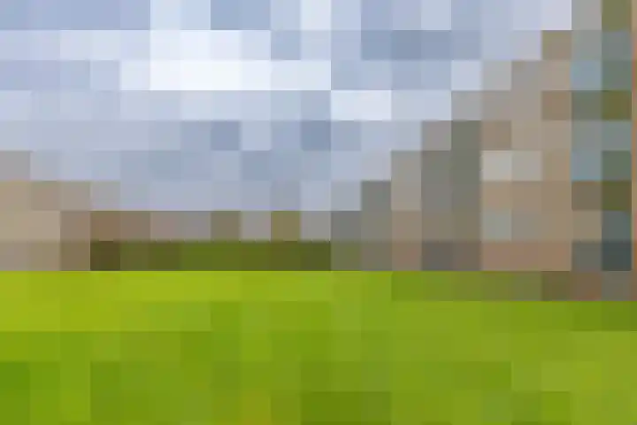Paterswoldseweg 395 Groningen thumbnail 30