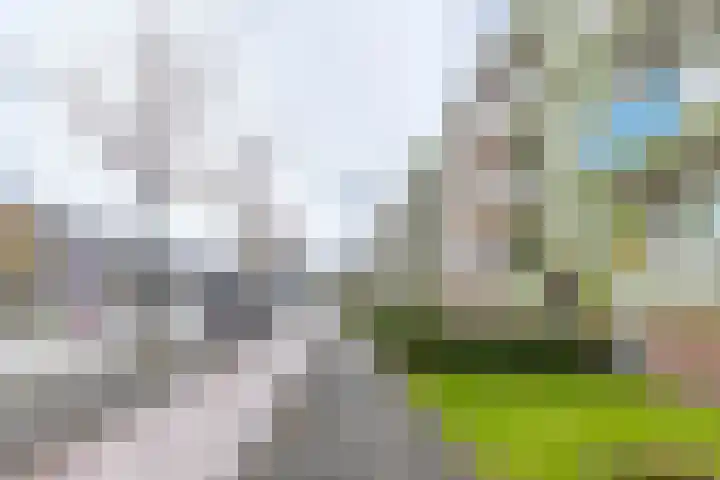 Paterswoldseweg 395 Groningen thumbnail 32