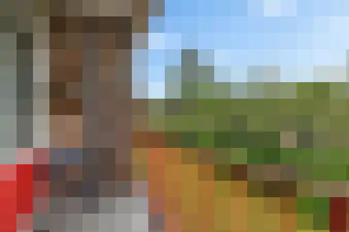 Paterswoldseweg 422 Groningen thumbnail 12
