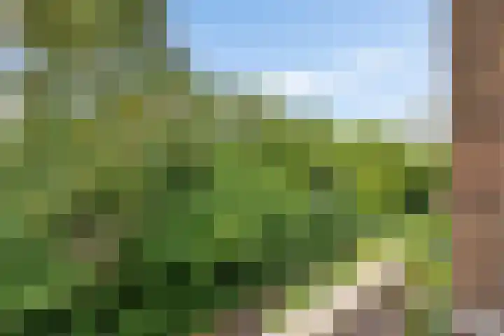 Paterswoldseweg 422 Groningen thumbnail 25