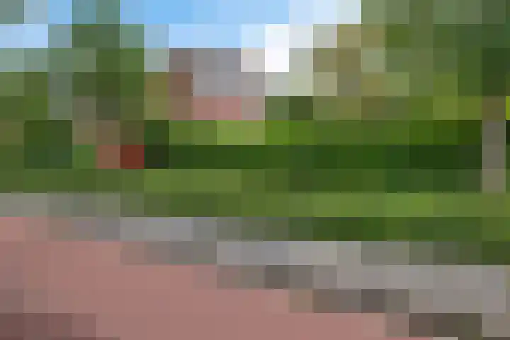 Paterswoldseweg 422 Groningen thumbnail 4