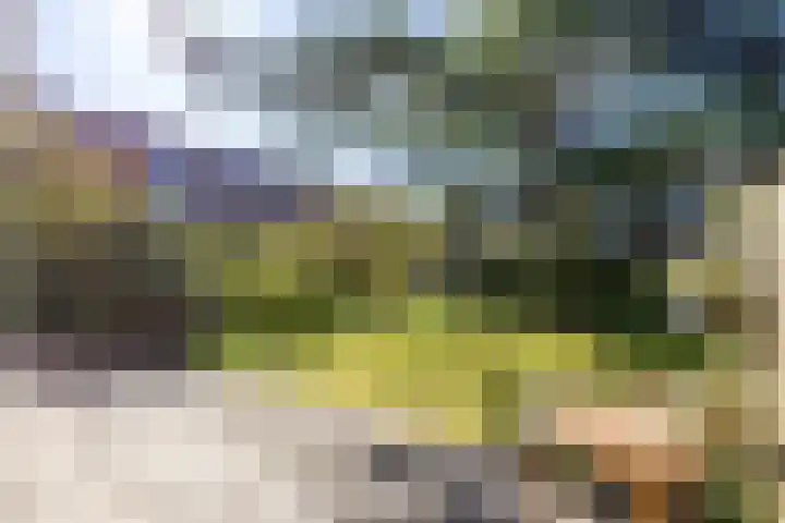 Paterswoldseweg 426 Groningen thumbnail 21