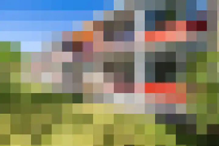 Paterswoldseweg 426 Groningen thumbnail 22