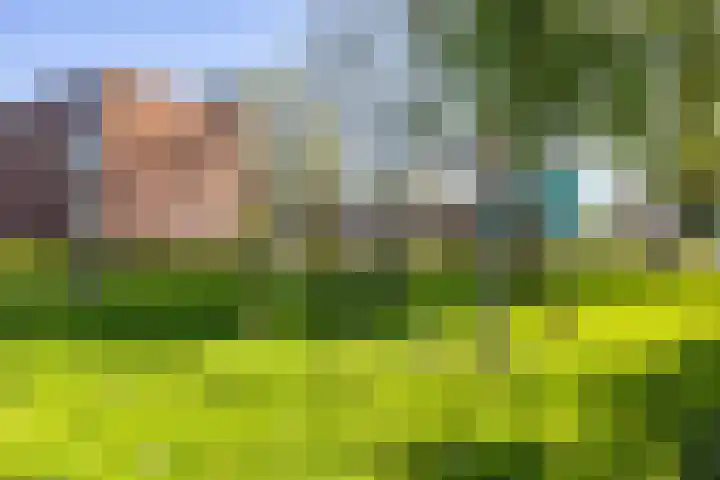 Paterswoldseweg 426 Groningen thumbnail 33