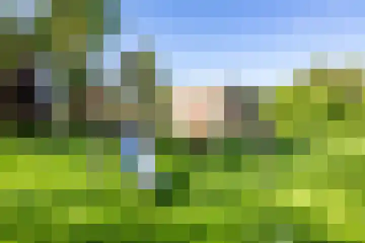 Paterswoldseweg 426 Groningen thumbnail 34