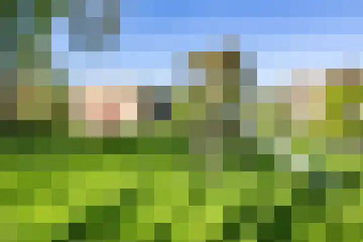 Paterswoldseweg 426 Groningen thumbnail 35