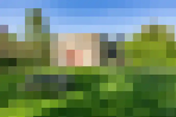 Paterswoldseweg 426 Groningen thumbnail 36