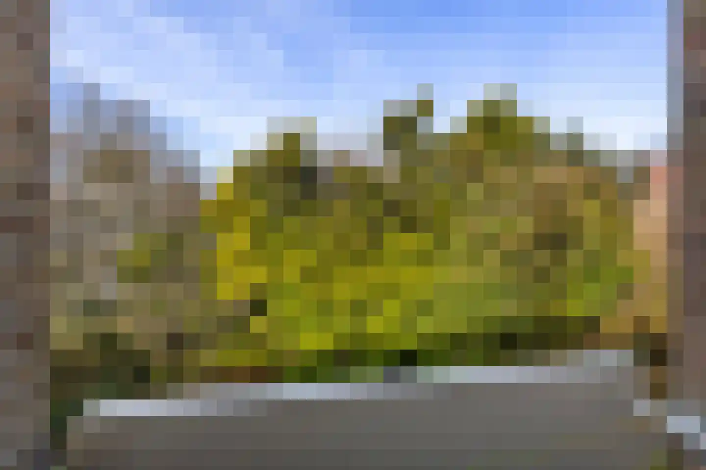 Paterswoldseweg 430 Groningen thumbnail 16