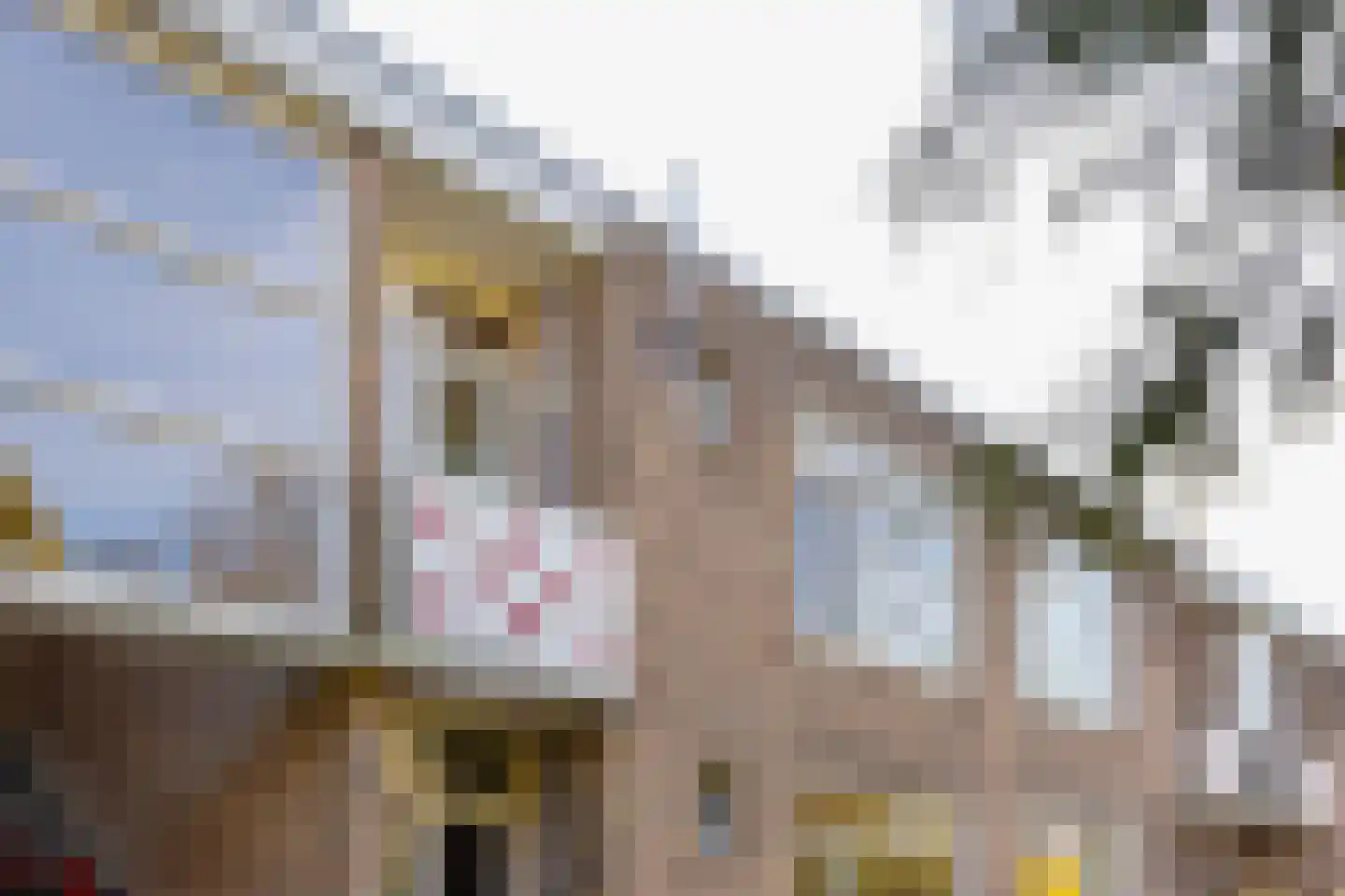 Paterswoldseweg 430 Groningen thumbnail 5