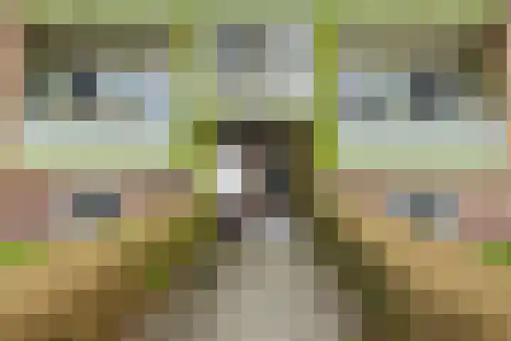 Paterswoldseweg 439 Groningen thumbnail 10