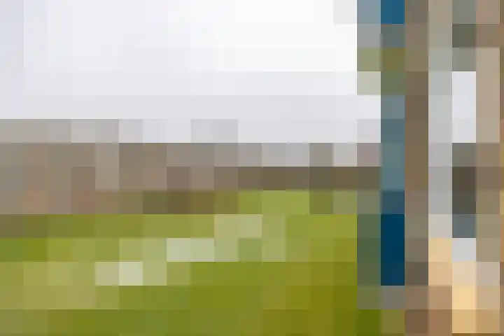 Paterswoldseweg 439 Groningen thumbnail 22