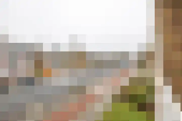 Paterswoldseweg 439 Groningen thumbnail 30