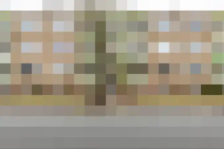 Paterswoldseweg 439 Groningen thumbnail 8