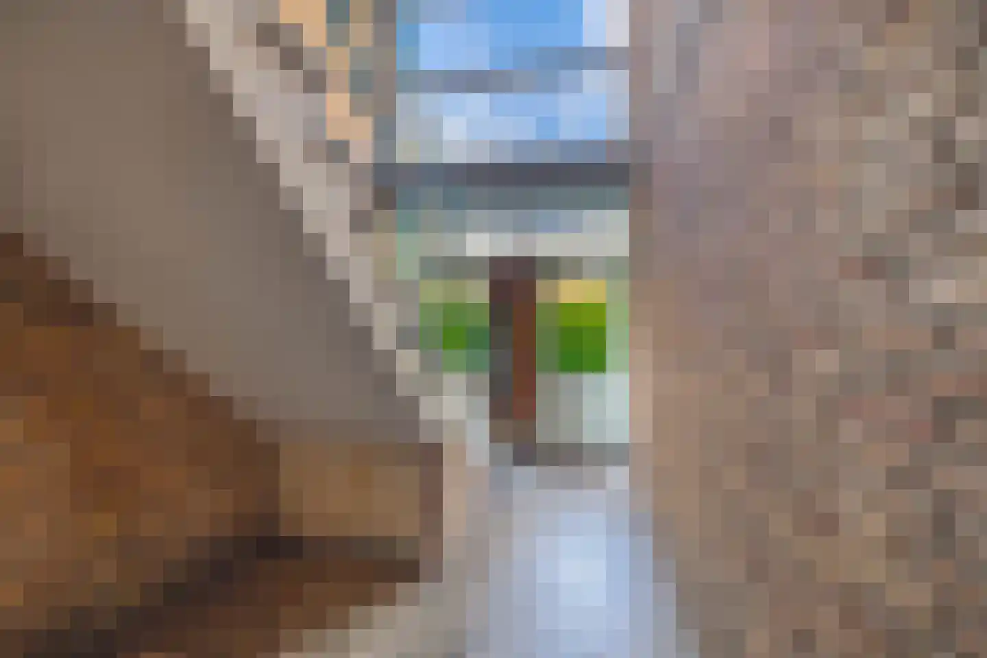 Paterswoldseweg 442 Groningen thumbnail 11