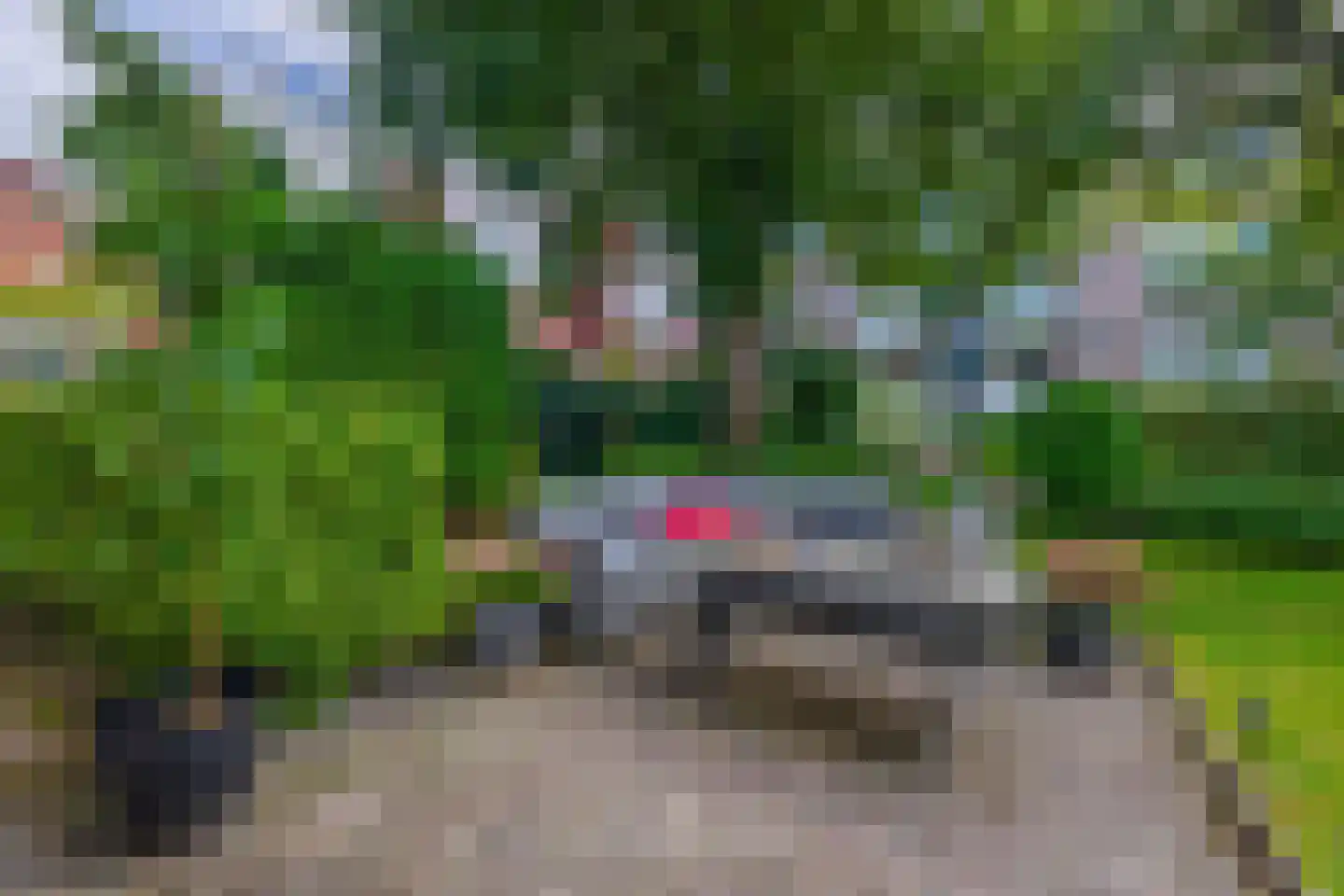 Paterswoldseweg 442 Groningen thumbnail 20