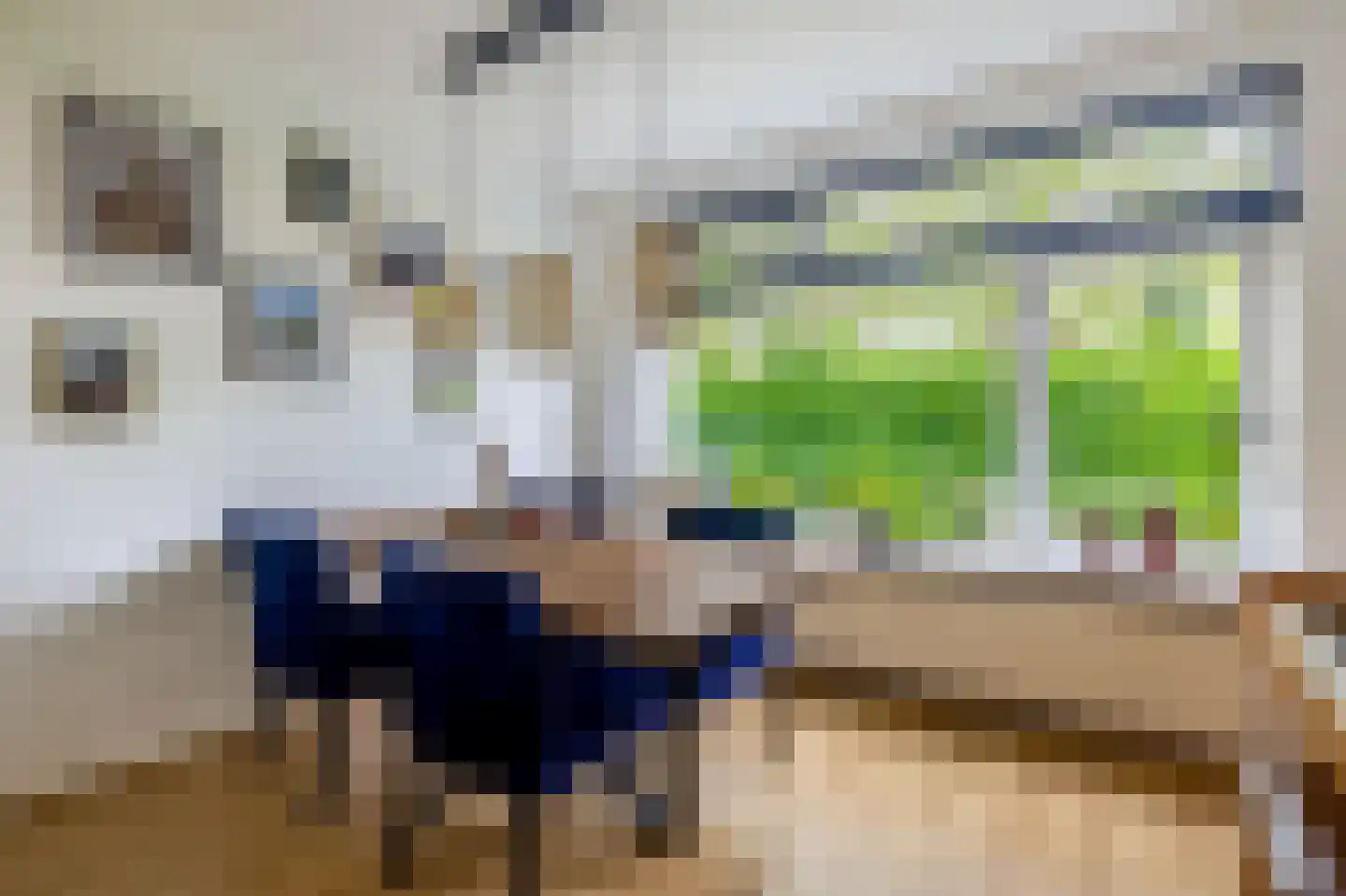 Paterswoldseweg 442 Groningen thumbnail 7
