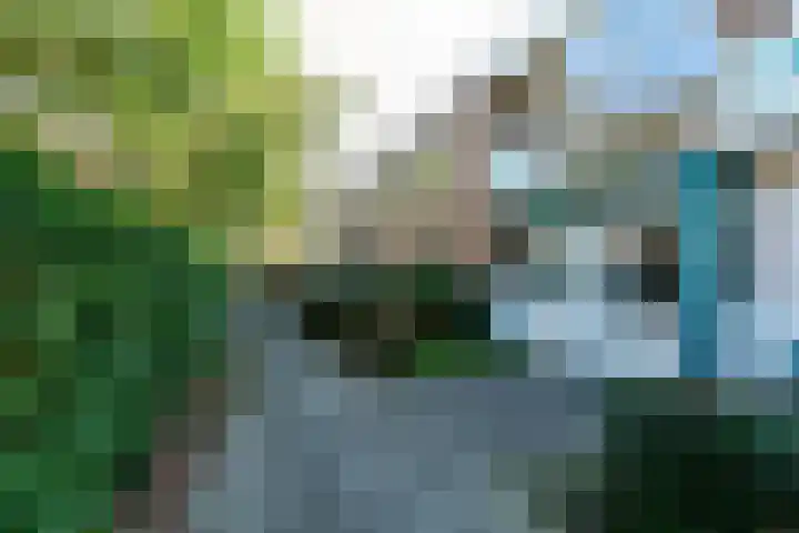Paterswoldseweg 444 Groningen thumbnail 16