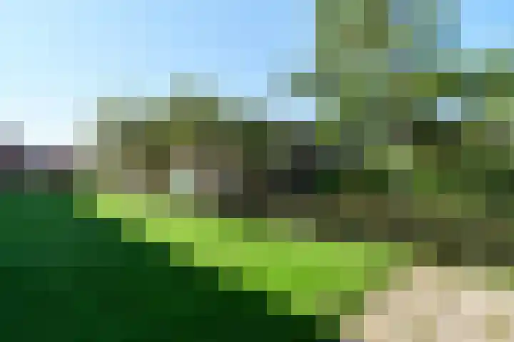 Paterswoldseweg 444 Groningen thumbnail 19