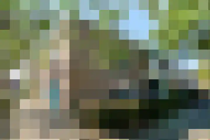 Paterswoldseweg 444 Groningen thumbnail 4