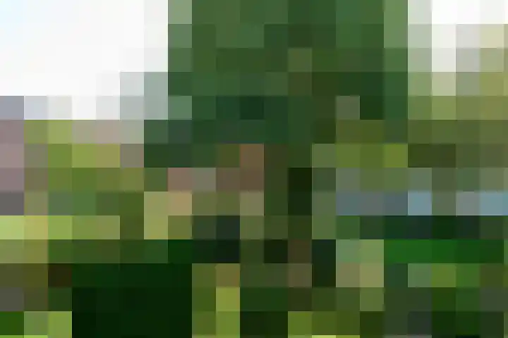 Paterswoldseweg 444 Groningen thumbnail 5
