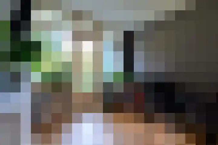Paterswoldseweg 444 Groningen thumbnail 9