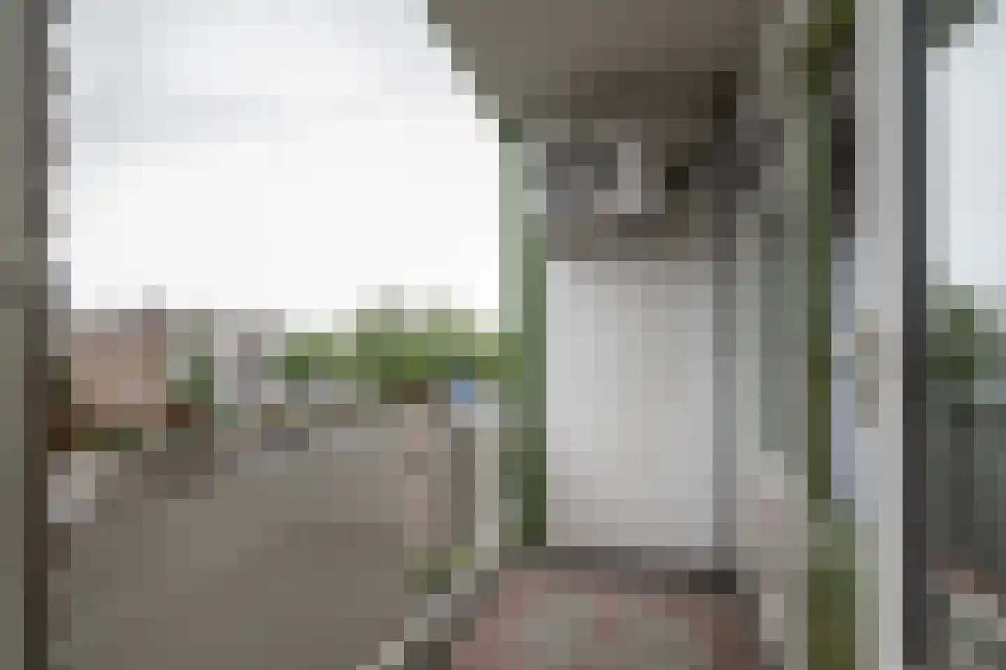 Paterswoldseweg 453 Groningen thumbnail 27