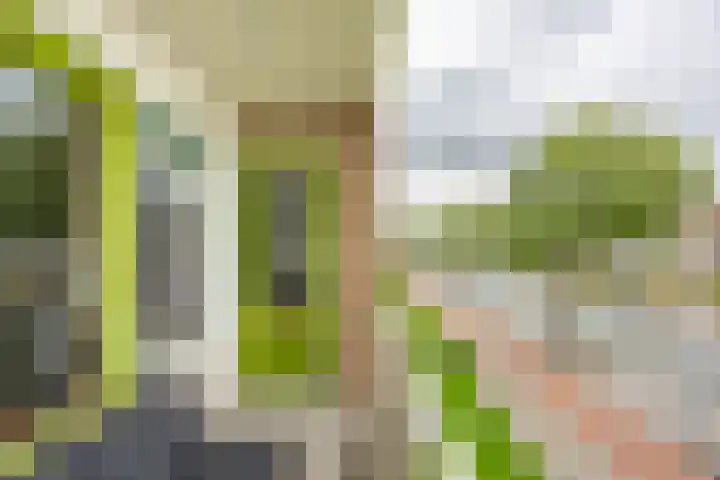 Paterswoldseweg 453 Groningen thumbnail 27
