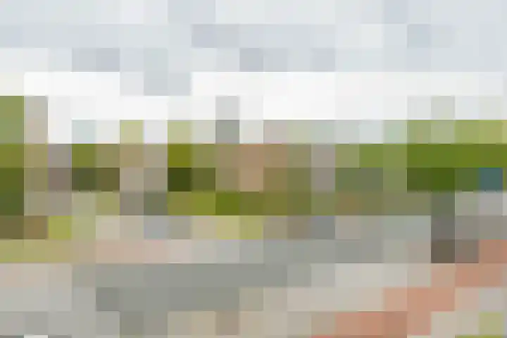 Paterswoldseweg 453 Groningen thumbnail 29