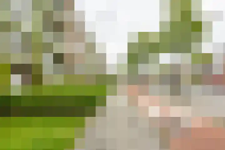 Paterswoldseweg 453 Groningen thumbnail 30