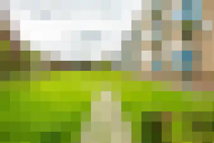 Paterswoldseweg 453 Groningen thumbnail 32