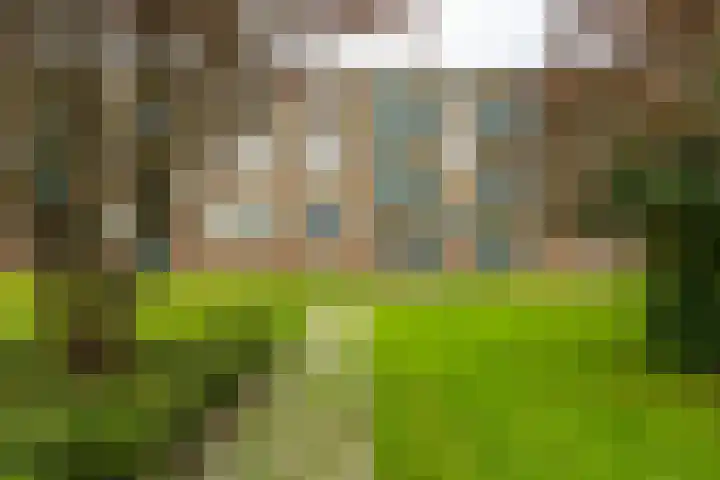 Paterswoldseweg 453 Groningen thumbnail 33