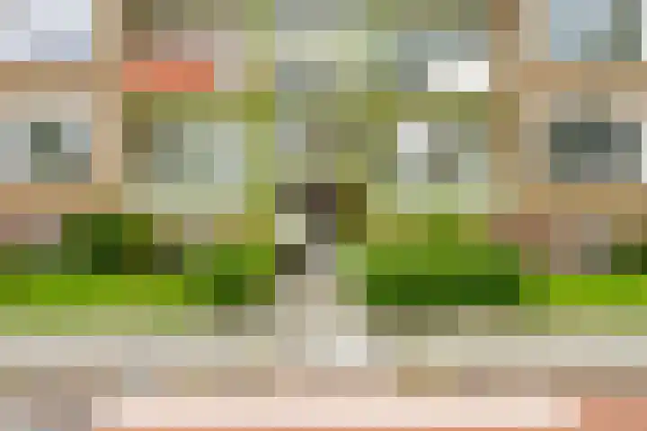 Paterswoldseweg 453 Groningen thumbnail 4