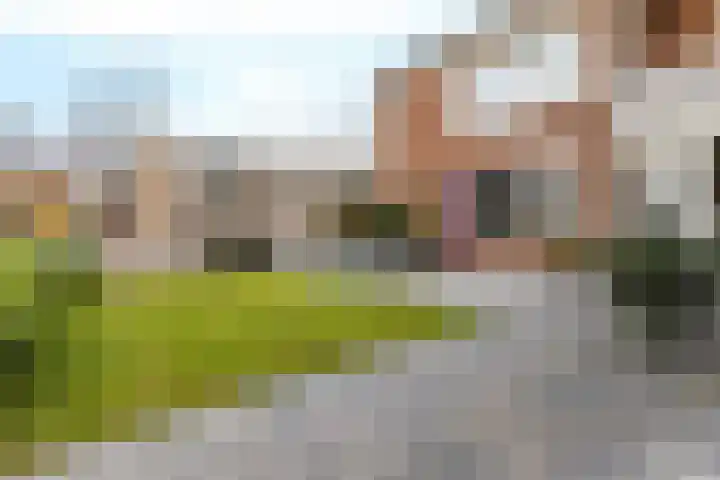 Paterswoldseweg 472 Groningen thumbnail 15